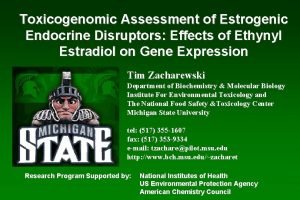 Toxicogenomic Assessment of Estrogenic Endocrine Disruptors Effects of