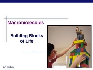 Macromolecules Building Blocks of Life AP Biology 2007