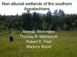 Nonalluvial wetlands of the southern Appalachians Brenda Wichmann