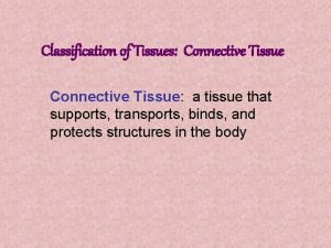 Classification of Tissues Connective Tissue a tissue that