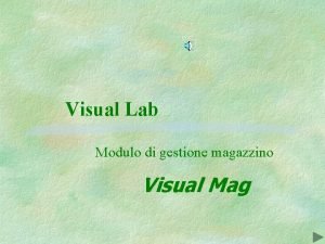 Visual Lab Modulo di gestione magazzino Visual Mag