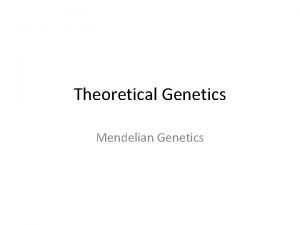 Theoretical Genetics Mendelian Genetics 1865 Austrian monk named