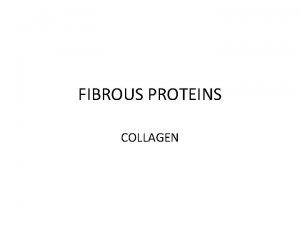 Function of fibrous protein