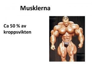 Musklerna Ca 50 av kroppsvikten Musklerna muskeltyper Man