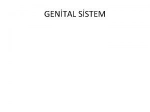 GENTAL SSTEM ERKEK GENTAL ORGANLARI D genital organlar