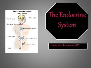 The Endocrine System Hormones Even though the endocrine