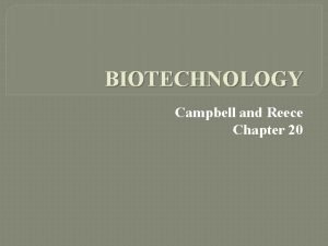 BIOTECHNOLOGY Campbell and Reece Chapter 20 DNA Technology