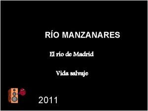 RO MANZANARES El ro de Madrid Vida salvaje