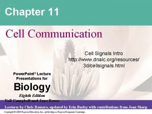 Chapter 11 cell communication