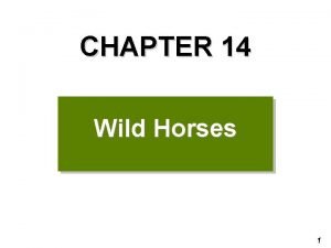 CHAPTER 14 Wild Horses 1 2 Preview Questions