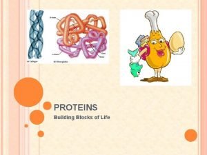 PROTEINS Building Blocks of Life PROTEINS Most cellular