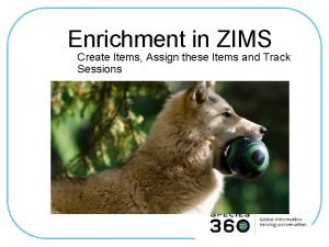 Enrichment in ZIMS Create Items Assign these Items