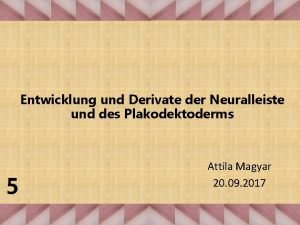 Entwicklung und Derivate der Neuralleiste und des Plakodektoderms