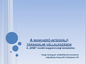 A MUNKAERINTEGRL TRSADALMI VLLALKOZSOK A WISE modell magyarorszgi