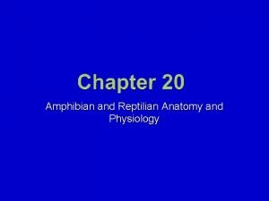 Amphibian and Reptilian Anatomy and Physiology Mosby items