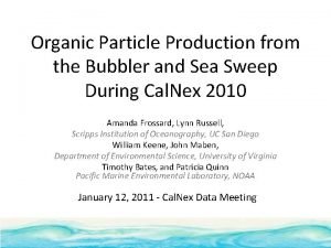 Organic Particle Production from the Bubbler and Sea