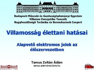 Budapesti Mszaki s Gazdasgtudomnyi Egyetem Villamos Energetika Tanszk