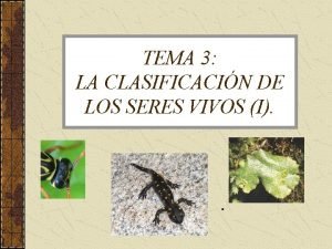 TEMA 3 LA CLASIFICACIN DE LOS SERES VIVOS