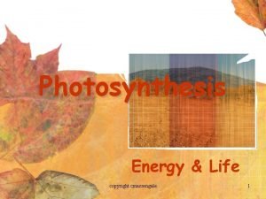 Photosynthesis Energy Life copyright cmassengale 1 Overview of