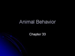 Chapter 33 animal behavior worksheet answers