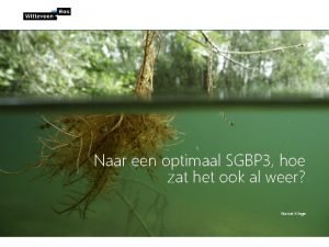 Naar een optimaal SGBP 3 hoe zat het