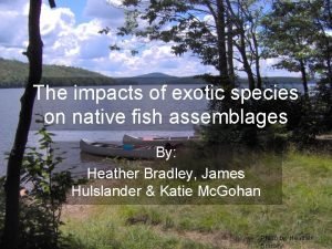 The impacts of exotic species on native fish