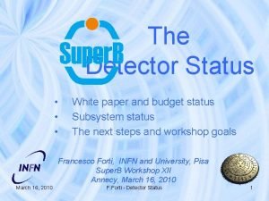 The Detector Status White paper and budget status