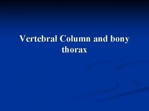 Vertebral Column and bony thorax Vertebral Column and