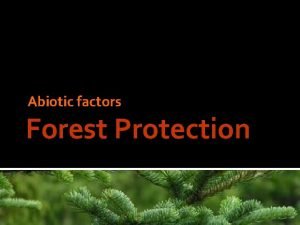 Abiotic factors Forest Protection Abiotic disturbance factors the