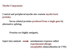 Myelin Components Central and peripheral myelin also contain