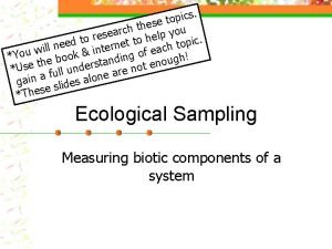 Belt transects