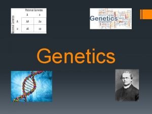 Genetics Genetics Mendel Studied pea plants Traits something