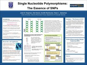 Single Nucleotide Polymorphisms The Essence of SNPs Julia