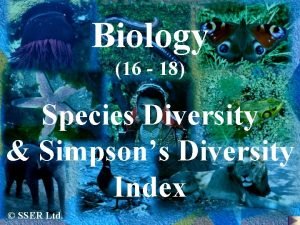 Biology 16 18 Species Diversity Simpsons Diversity Index