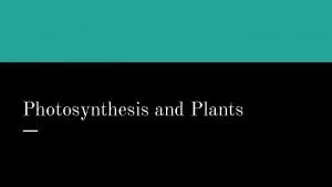 Photosynthesis and Plants Photosynthesis Process by which plants