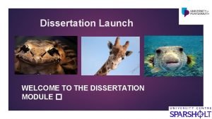 Dissertation Launch WELCOME TO THE DISSERTATION MODULE Time