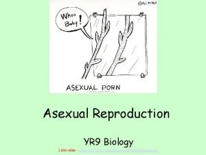 Asexual reproduction definition biology