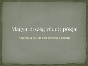 Magyar ugrópók Magyar ugrópók