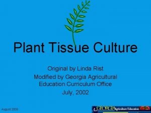 Plant Tissue Culture Original by Linda Rist Modified