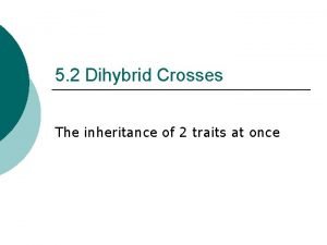 Dihybrid cross