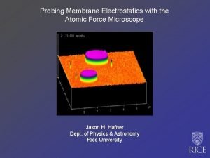 Probing Membrane Electrostatics with the Atomic Force Microscope