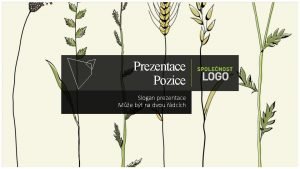 Prezentace Pozice Slogan prezentace Me bt na dvou