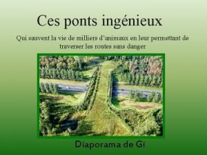 Ces ponts ingnieux Qui sauvent la vie de