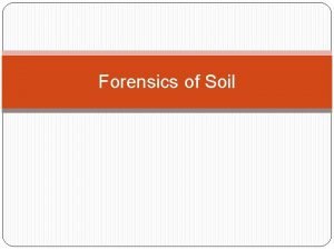Forensics of Soil Soil Composition Soils are made