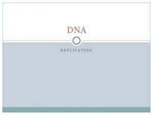 DNA REPLICATION Replication DNA is a self replicating