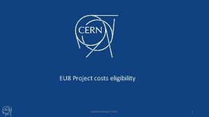 EU 8 Project costs eligibility Joelma Tolomeo ITDISE