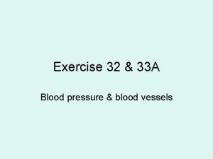 Exercise 32 anatomy of blood vessels