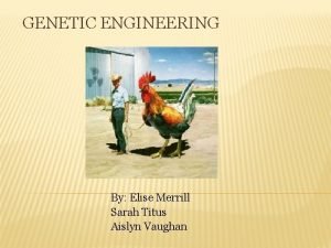 GENETIC ENGINEERING By Elise Merrill Sarah Titus Aislyn