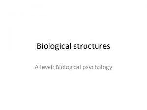 Biological structures A level Biological psychology Starter Rita