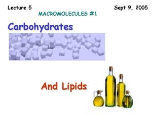 Lecture 5 MACROMOLECULES 1 Carbohydrates And Lipids Sept